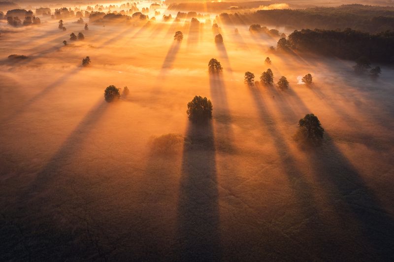 Light and shadowphoto preview