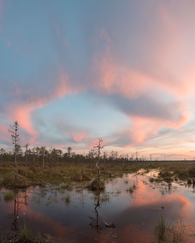 новгородская область, Болотные историиphoto preview