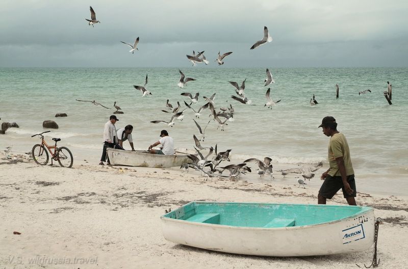 рыбаки, чайки, море, берег, пляж, лодка, причал, птица, велосипед, путешествие, приключение, шагнивнеизведанное Из цикла \