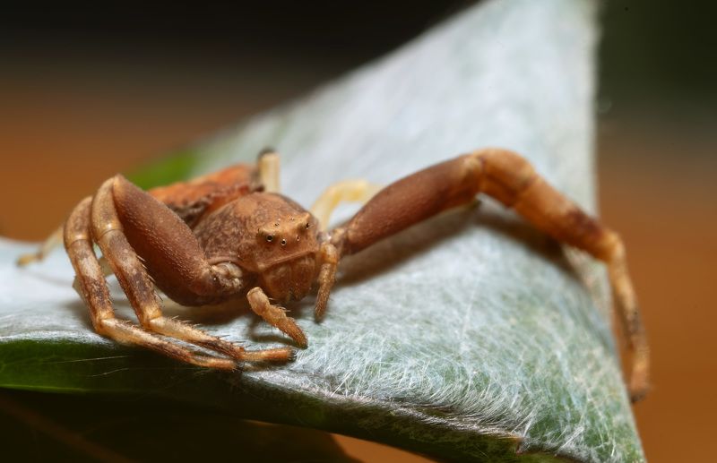 Вечерний отдыхphoto preview