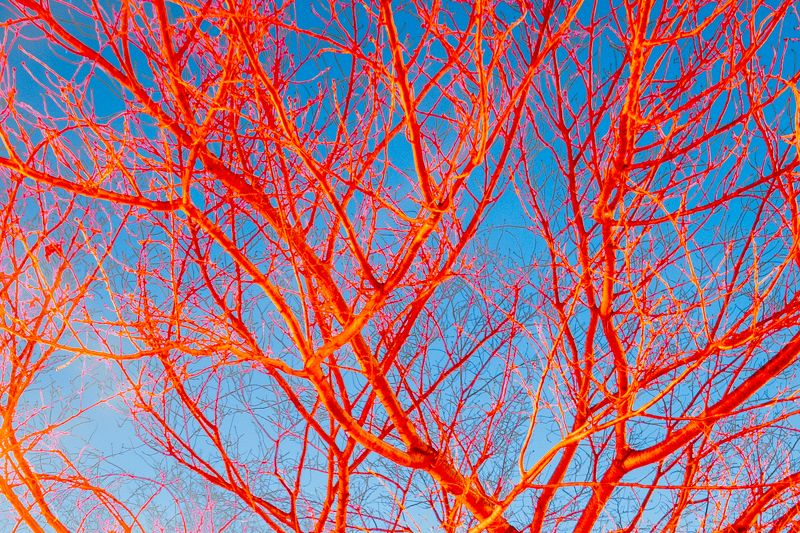 Vesselsphoto preview