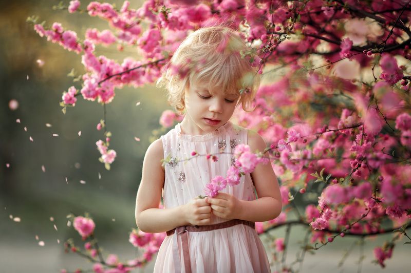 Pink dreamsphoto preview