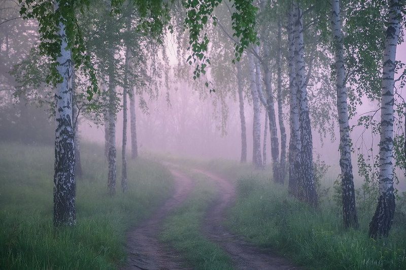 Утро.Тишина.photo preview