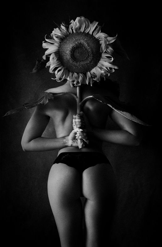 подсолнухphoto preview