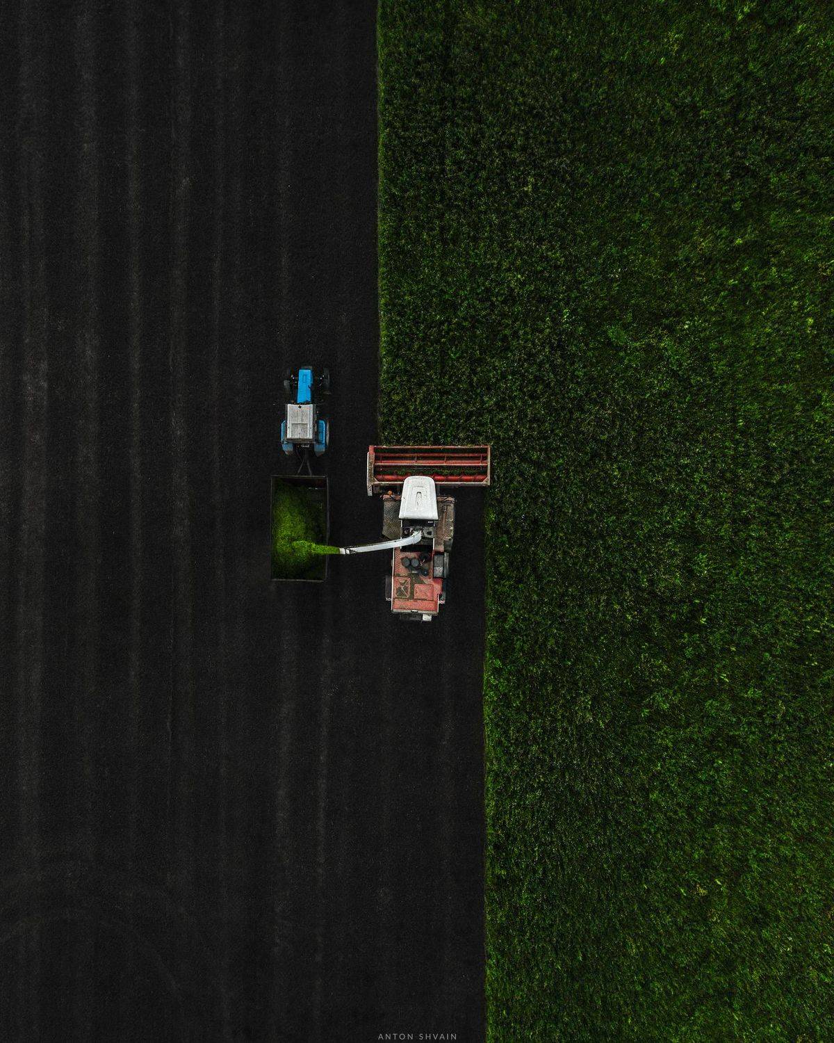 Автор: Антон Шваин , Антон Шваин