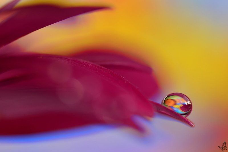 радугаphoto preview