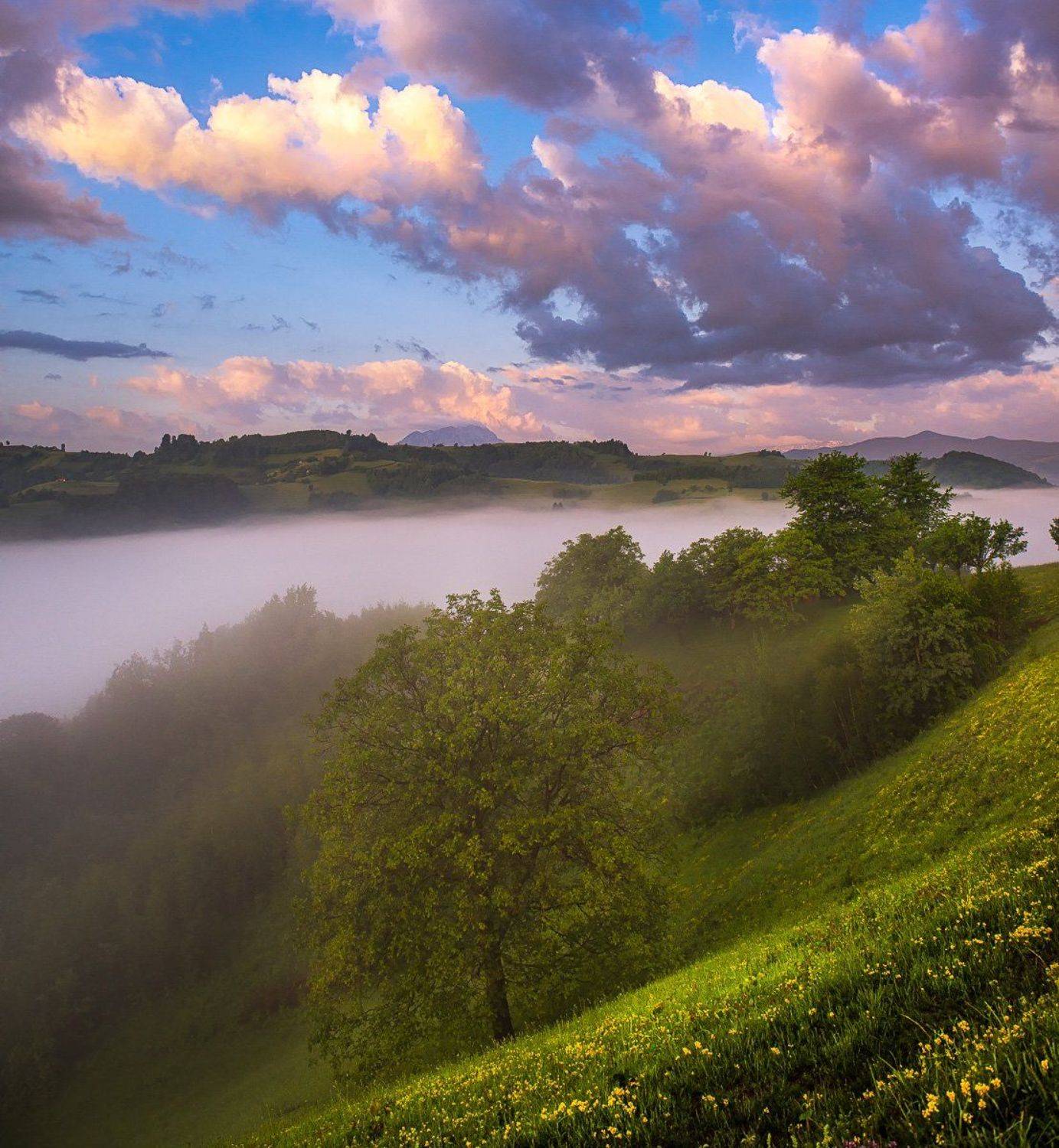 country side, fog, landscape, nature, Ioan Chiriac