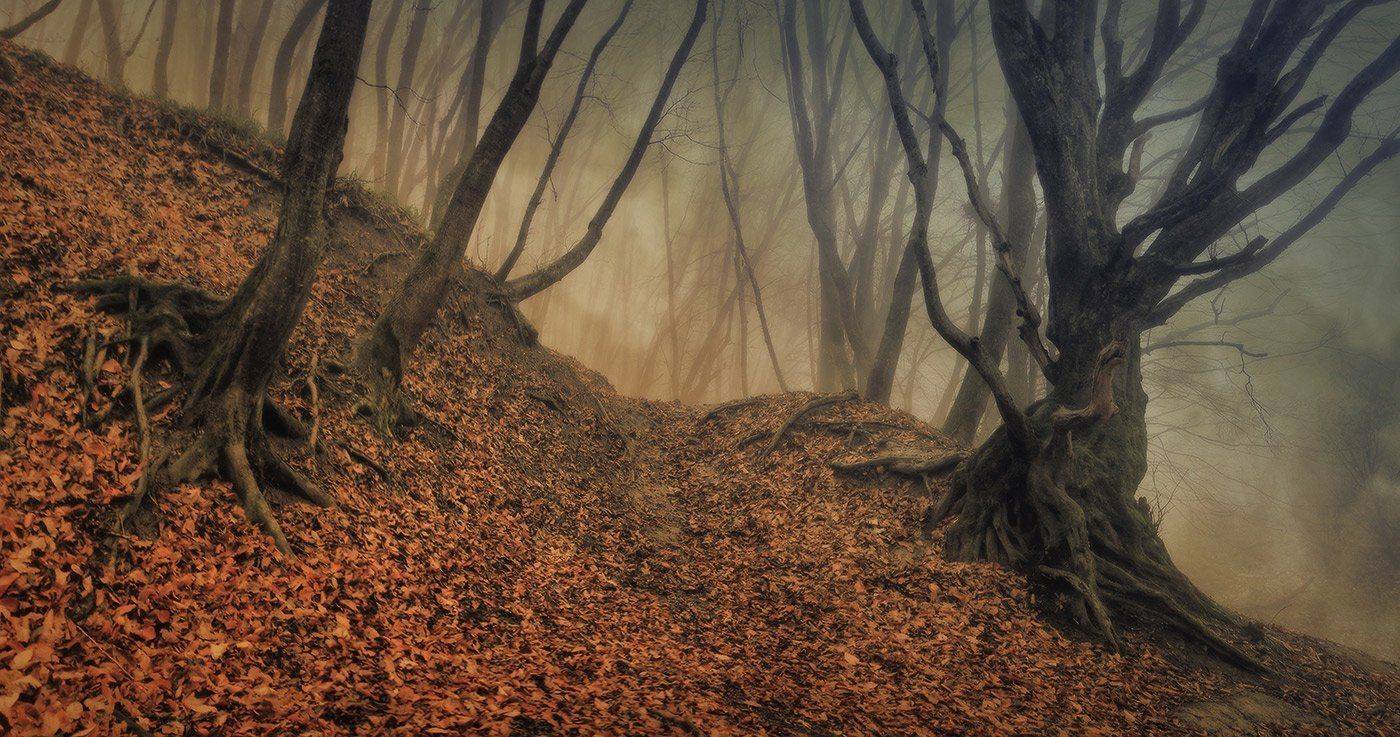 , Михаил  Пилипенко