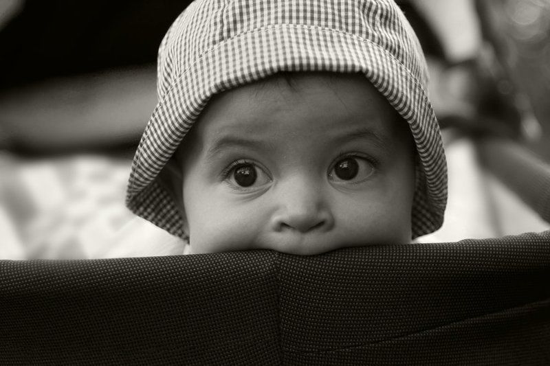 ДО ЧЕГО ПОРОЙ ОБИДНО....photo preview