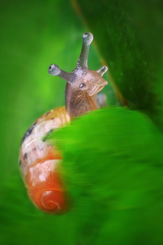 губастенькаяphoto preview