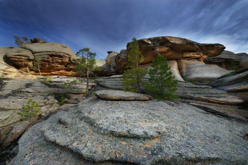 Птица каменьphoto preview