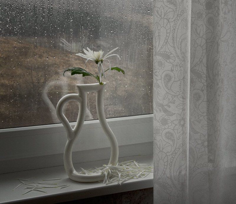 Просто скоро зима....photo preview