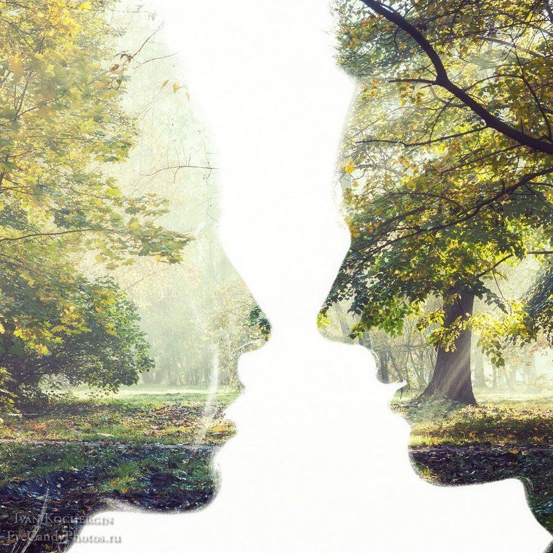 Two of a kindphoto preview