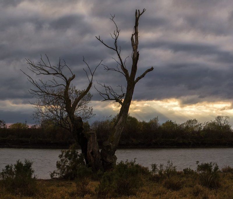 Старец.photo preview