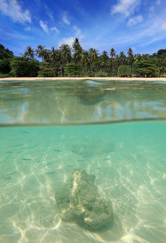 Invisible Worldphoto preview