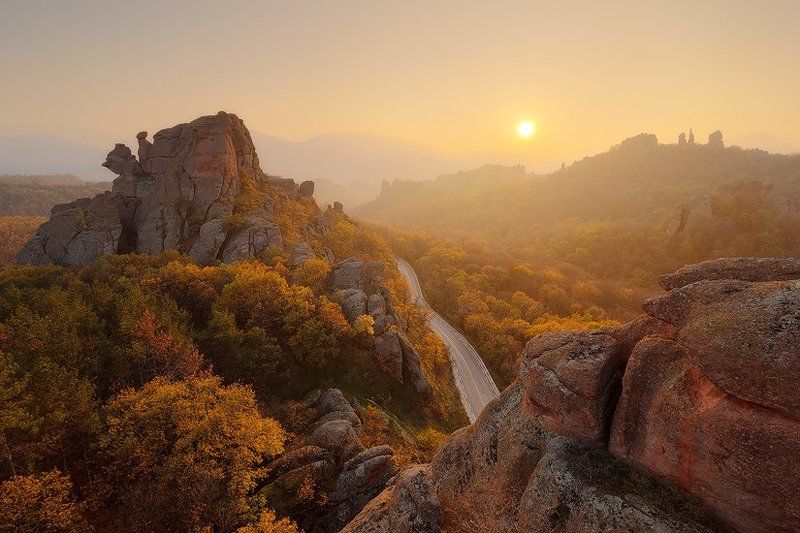 Golden raysphoto preview