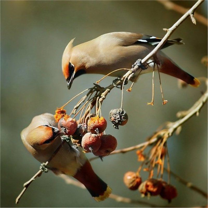 Делись..!!)) фото превью