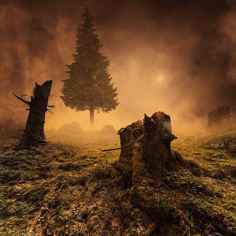 boy, cliff, cloth, clouds, dream, fence, field, flower, flying, freedom, ground, high, leaf, light, manipulation, old, photoshop, psd, rainbow, rocks, boy, buffon, cliff, cloth, clouds, clown, dream, fence, field, flower, flying, freedom, ground, high, le Amazing World III фото превью