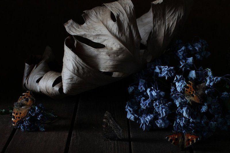 натюрморт, цветы Придет деньphoto preview