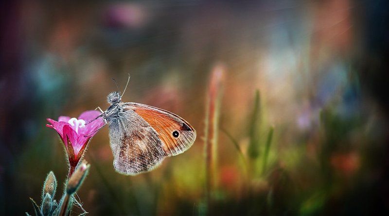 Alone...photo preview