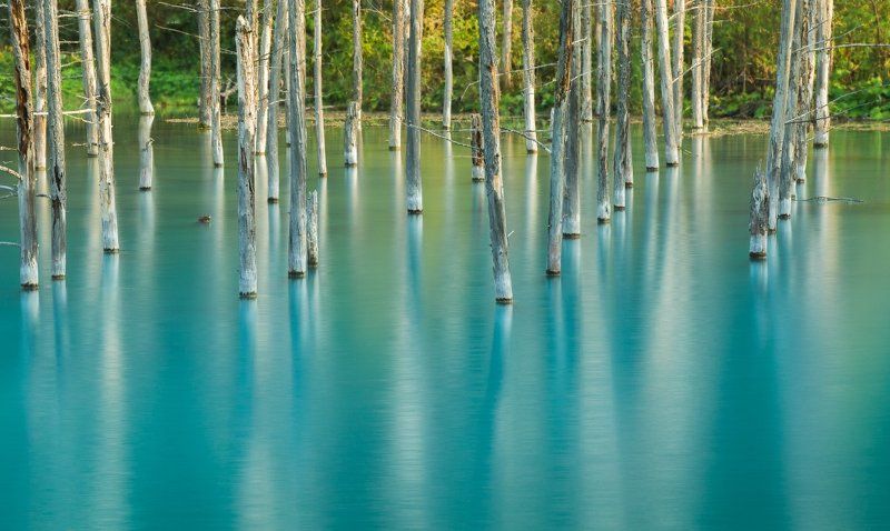 Хранители озераphoto preview