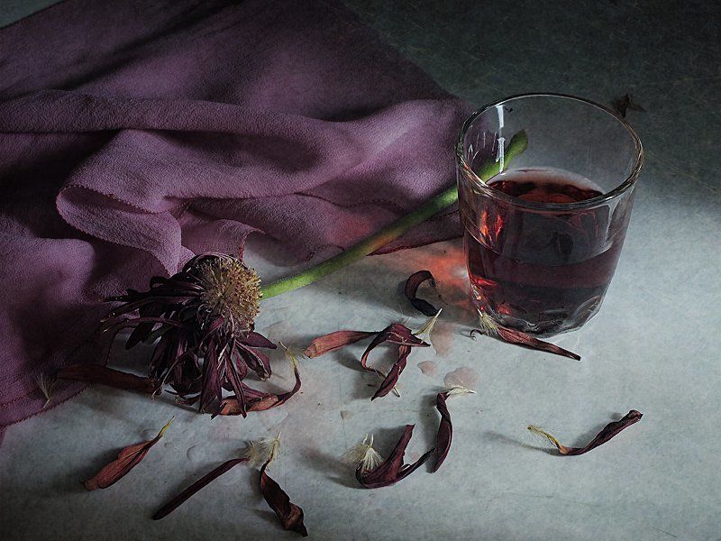 Гербера, Натюрморт, Этюд Этюд с засохшей герберойphoto preview