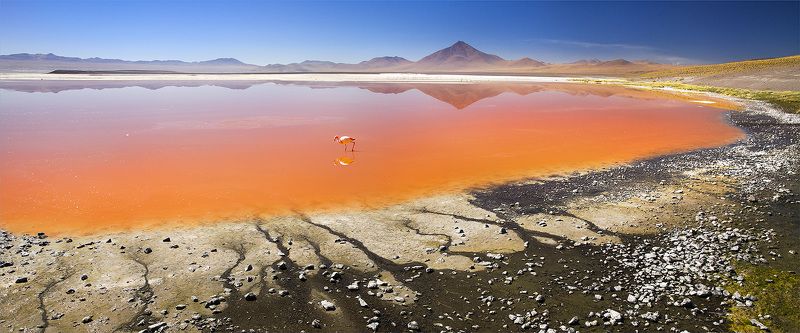 Лагуна Colorada, Боливия фото превью