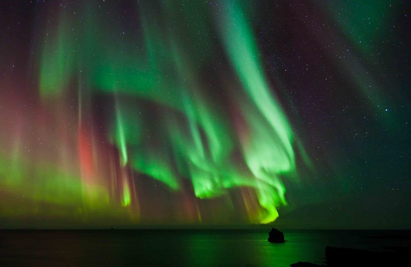 Ночные краскиphoto preview