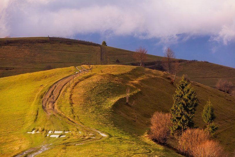 Карпатская фото превью