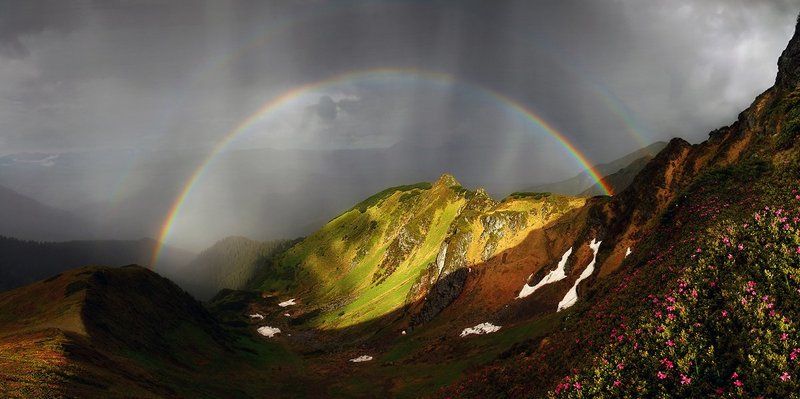 portfolio фото превью