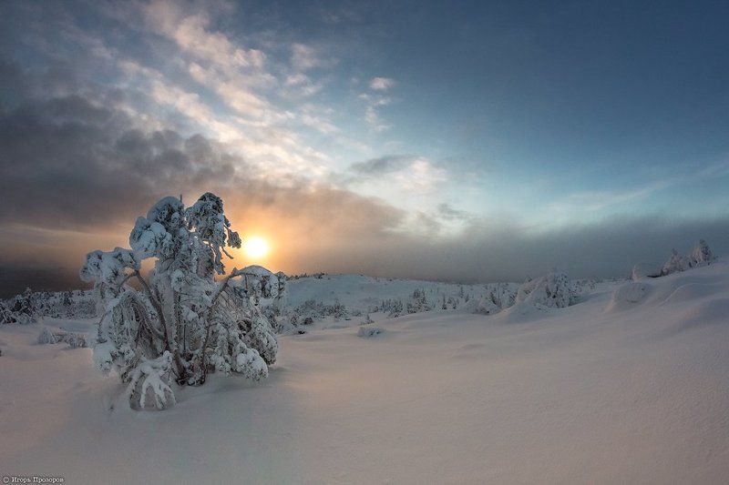Закат, Кольский полуостров, Ноябрь, Сказка, Туман В закатном тумане.photo preview