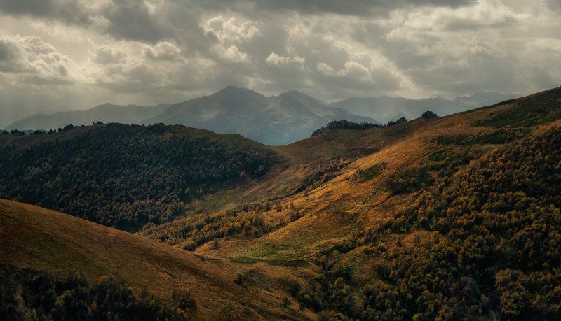 Осенний бархатphoto preview