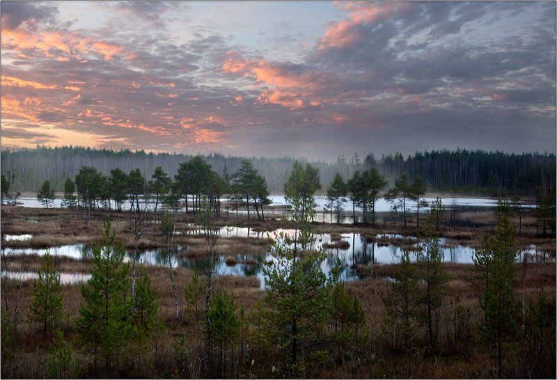 Галкинское болотоphoto preview