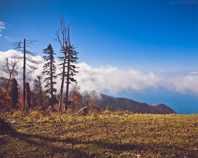 ... фото превью