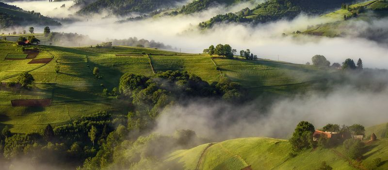 Summer Mistphoto preview