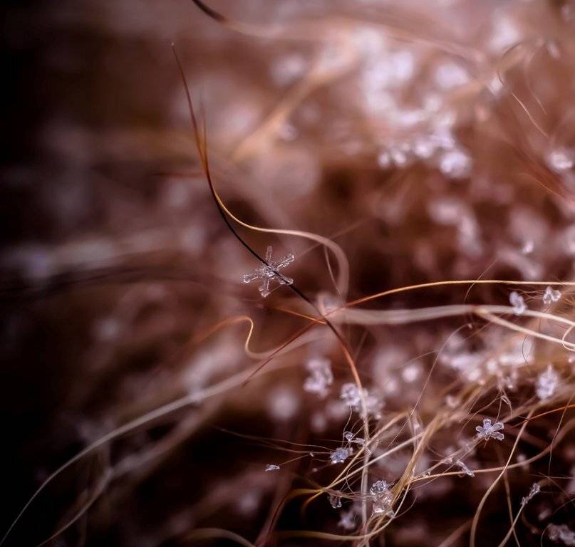 Потерянное счастье.... Автор: Germanic , Germanic