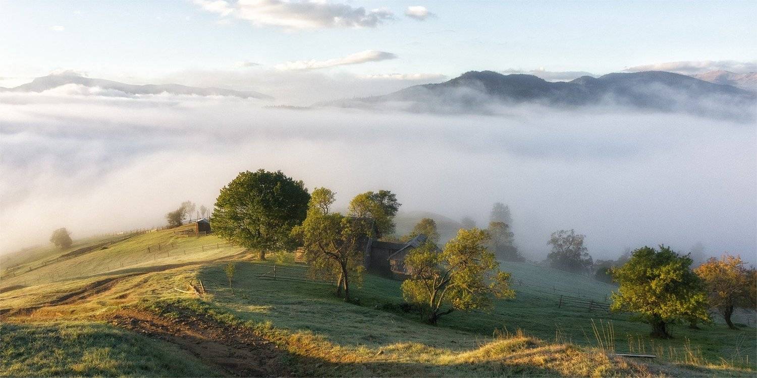 карпаты, пейзаж, природа, туман, черная тиса, рассвет, утро, Будин Николай