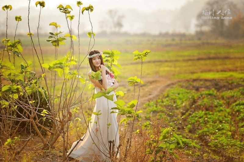 Tachuan Autumnphoto preview