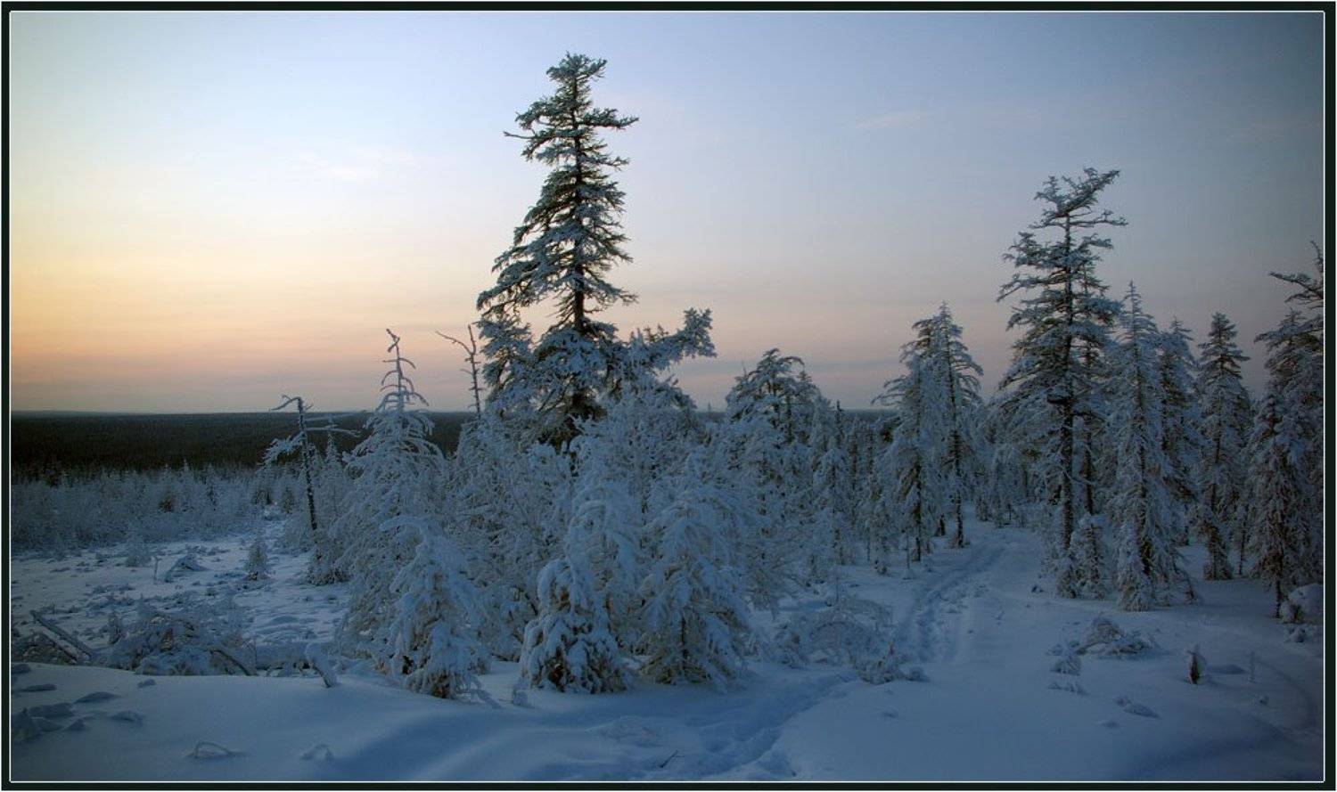 , Солодухин Виктор