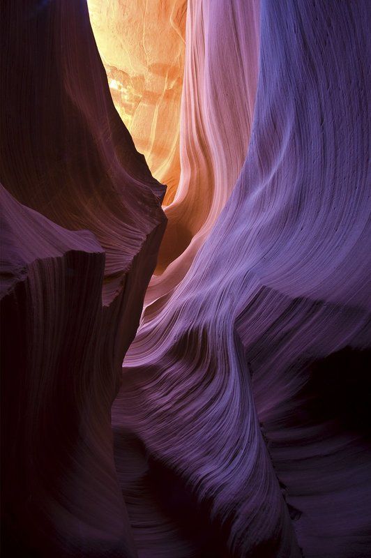 ART OF LIGHTphoto preview