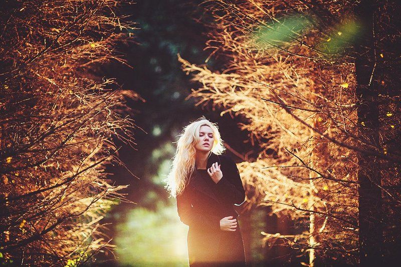 Vervolgphoto preview