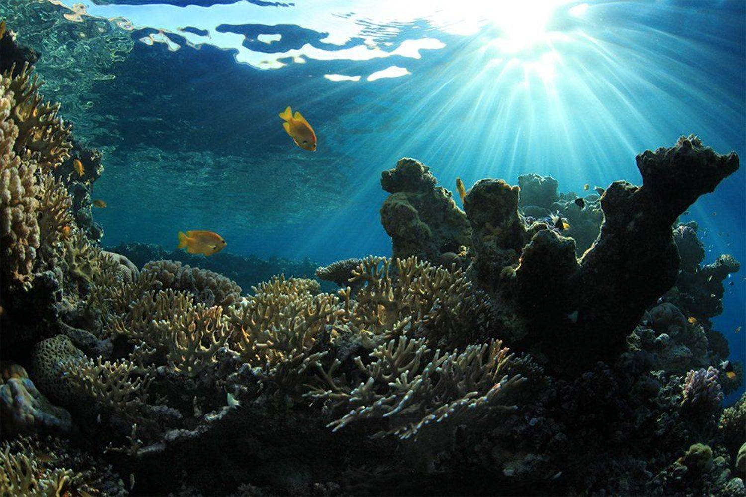 , Эдуард VTORNIK  Николаев