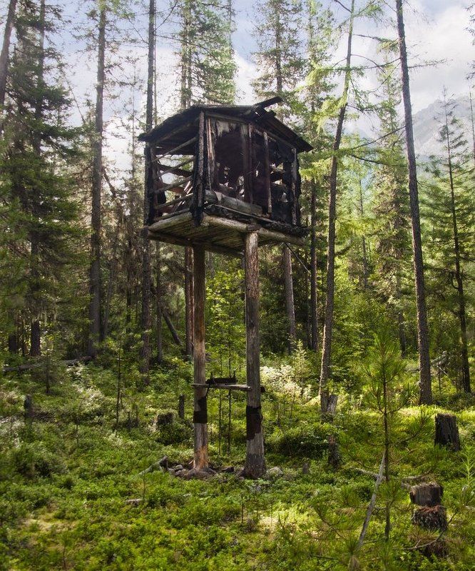 Избушка там на курьих ножках стоит без окон без дверейphoto preview