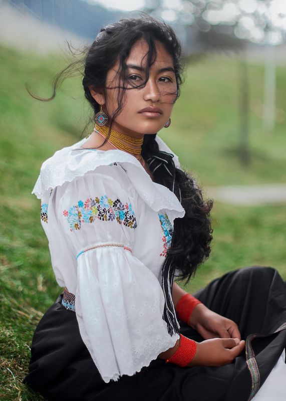 ecuador daisyphoto preview