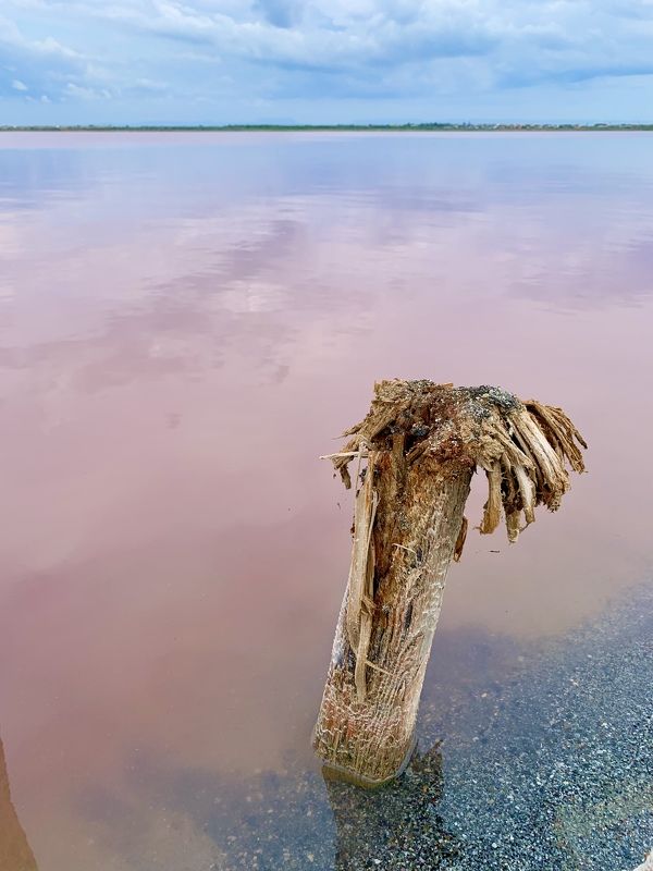 сасык-сиваш Соленое и розовоеphoto preview