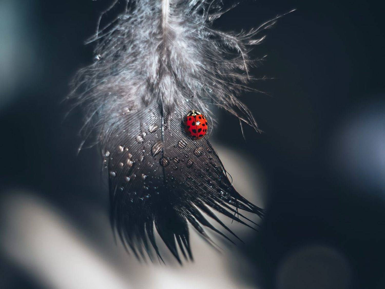 Держаться изо всех сил. Автор: Ольга Мурзина , Ольга Мурзина