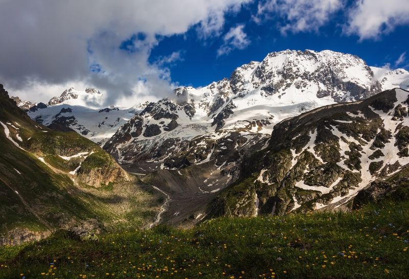 горы,восхождение,кавказ,облака цветы и снежные вершины....photo preview