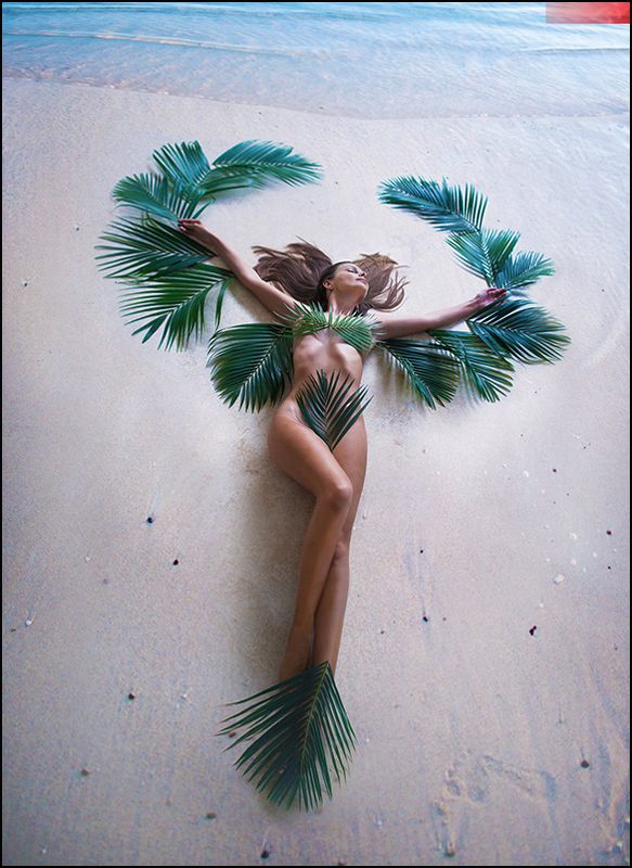 Palm Coast ⭒photo preview