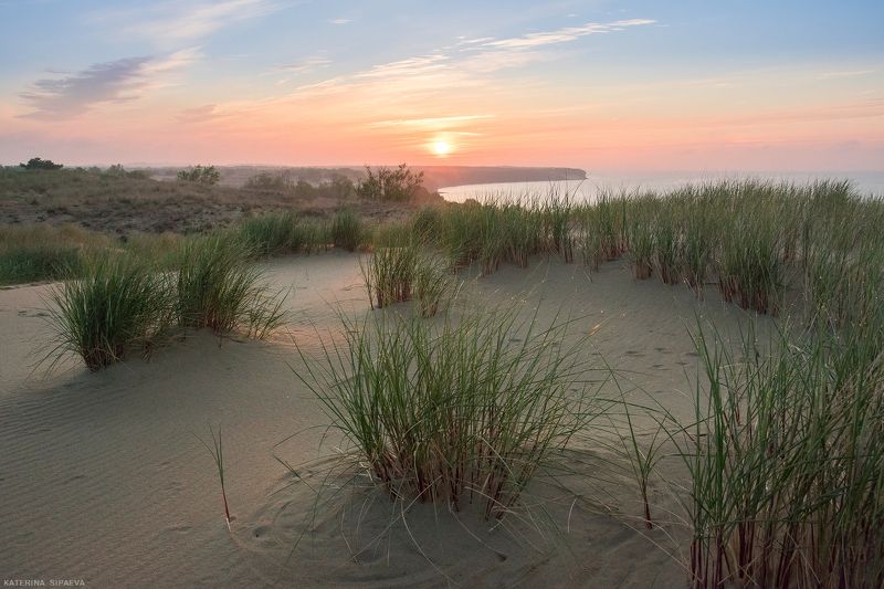 куршская коса, природа, пейзаж, рассвет Так начинался новый деньphoto preview