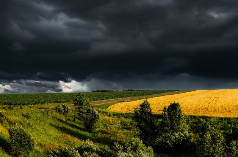 Предгрозовые контрасты...photo preview